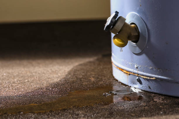 Best Mold removal after water damage  in Hewitt, TX