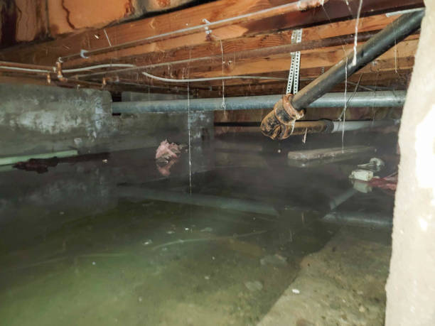 Best Flood damage cleanup  in Hewitt, TX
