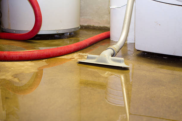 Best Ceiling water damage repair  in Hewitt, TX